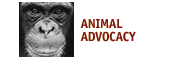 Animal Advocacy